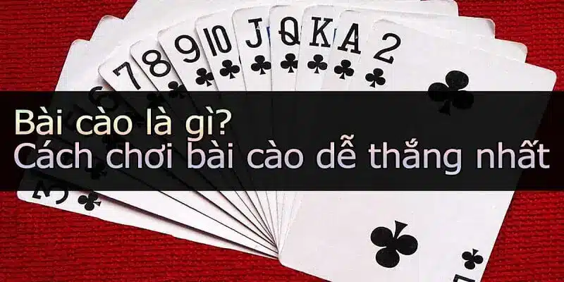 For88 giới thiệu đôi nét về Bài Cào