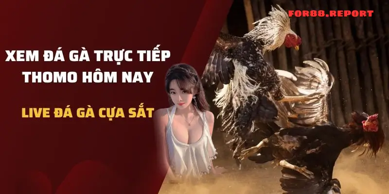 Những câu chuyện thành công từ For88